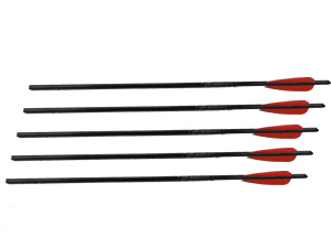 5 Pack of 22in Arrows w/Field Point