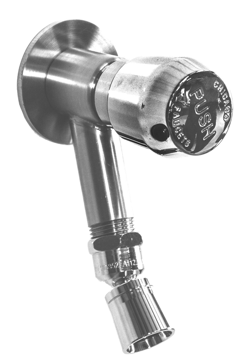 WMFS-442-ADA-SS Stainless Steel Foot Shower with ADA Metered Push Valve